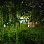 Toti Montepaone