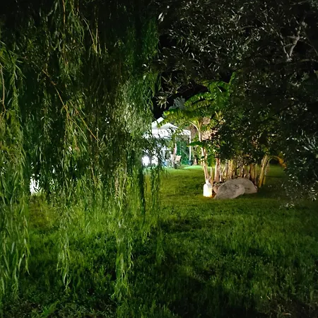 Toti 몬테파오네